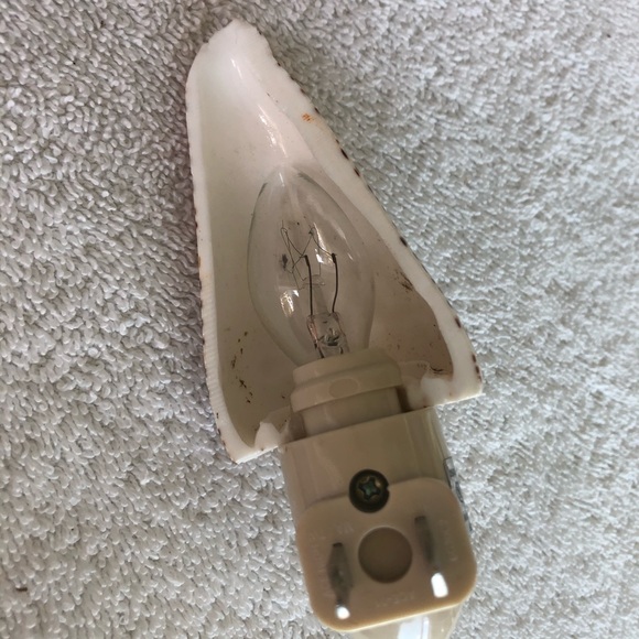 NEW! Spotted Cone Seashell NIGHT LIGHT - Picture 3 of 4